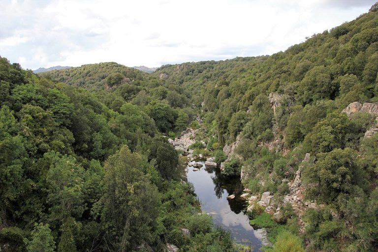 naturpark tepilora
