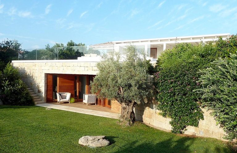 spacious villa olive tree