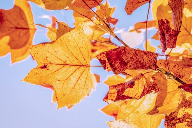 Autunno Sassari Sardegna