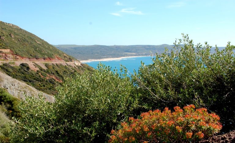 coastline south west sardinia