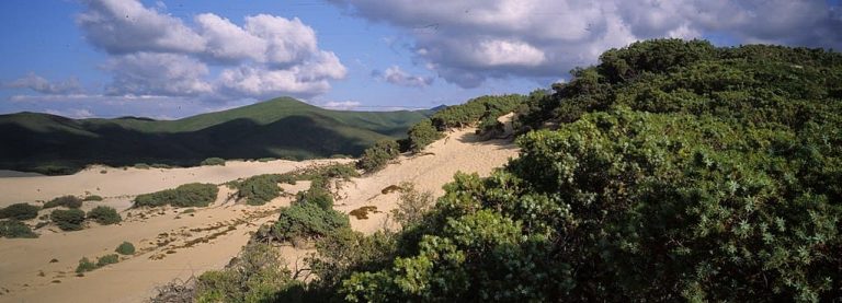 cammino minerario santa barbara
