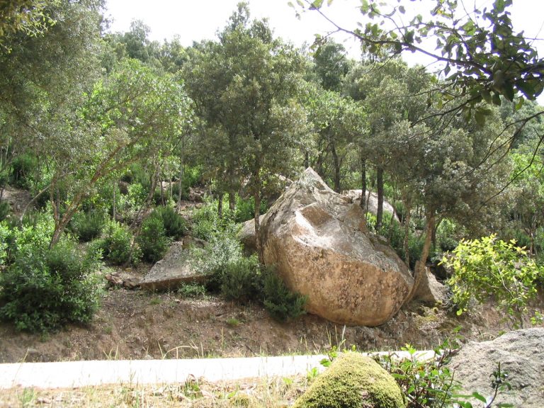 Sardegna foresta sette fratelli