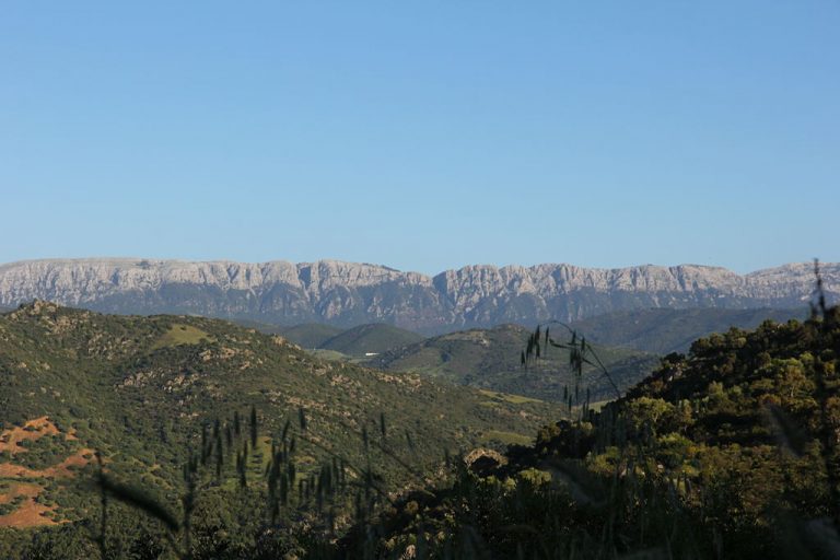monte albo naturschutzgebiet