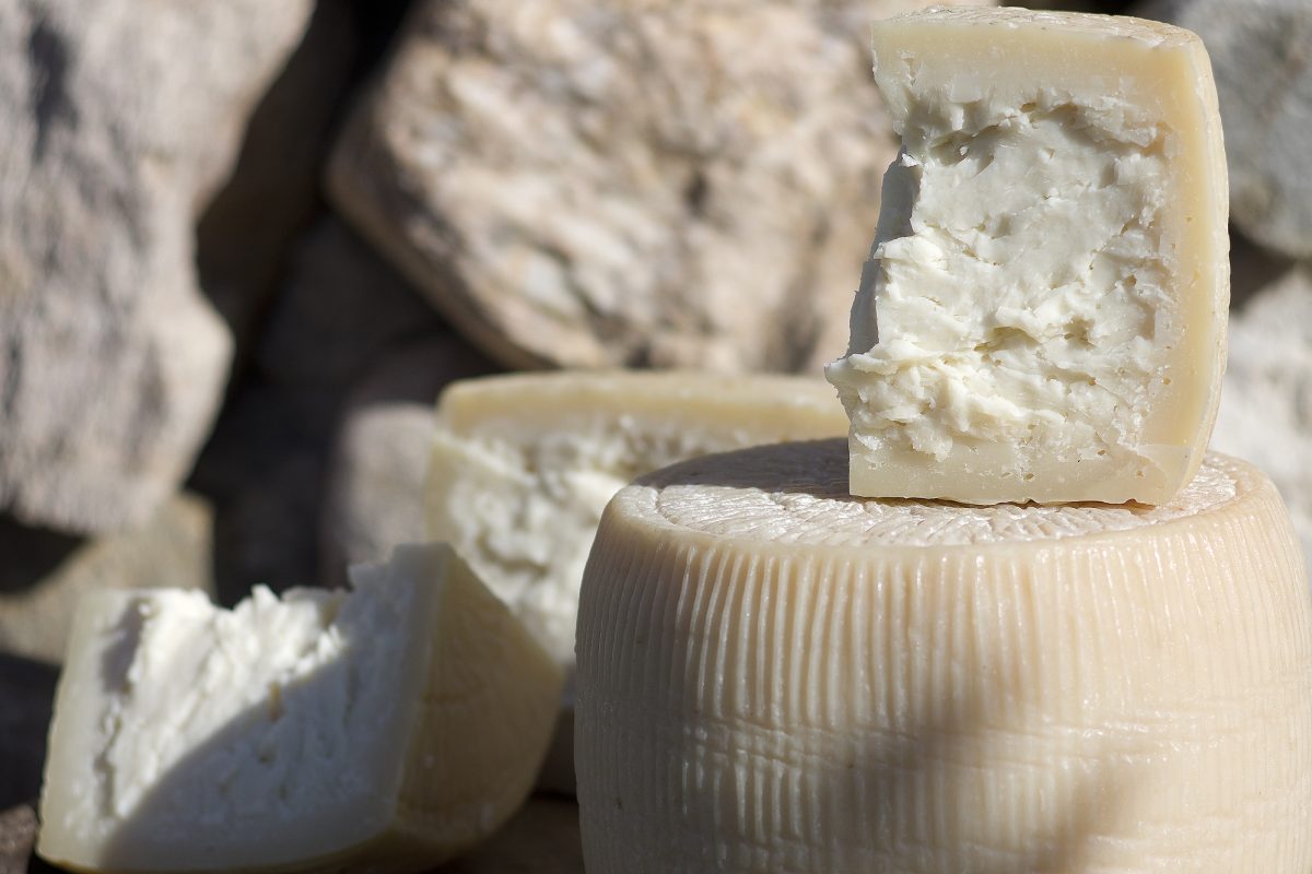 sardischer kaese pecorino
