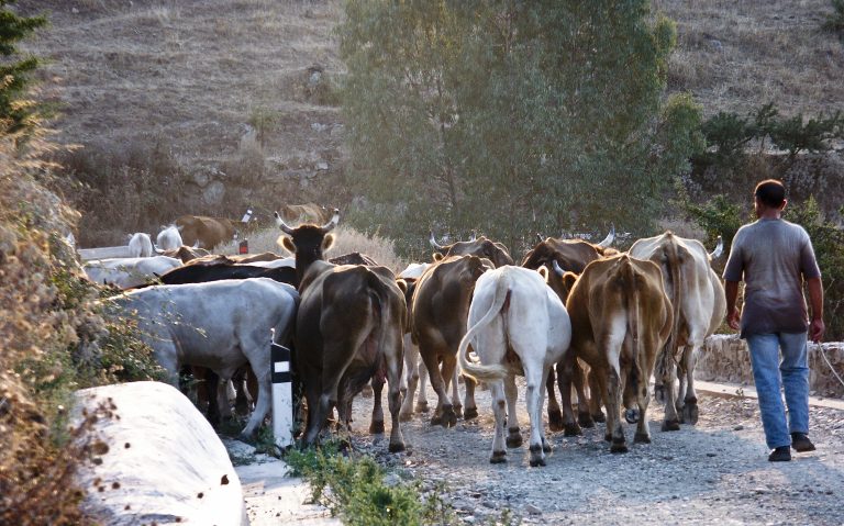 Workation in Sardegna