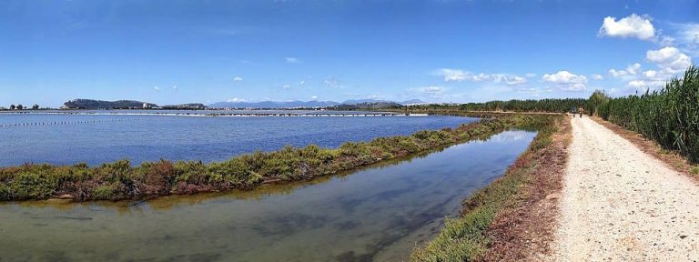 Molentargius Sardegna in bici