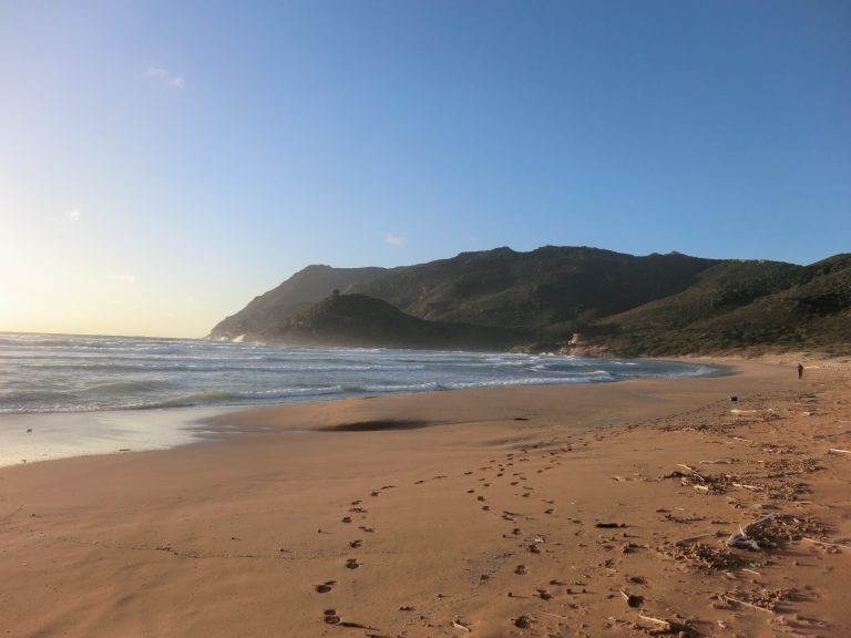 hundestrand alghero