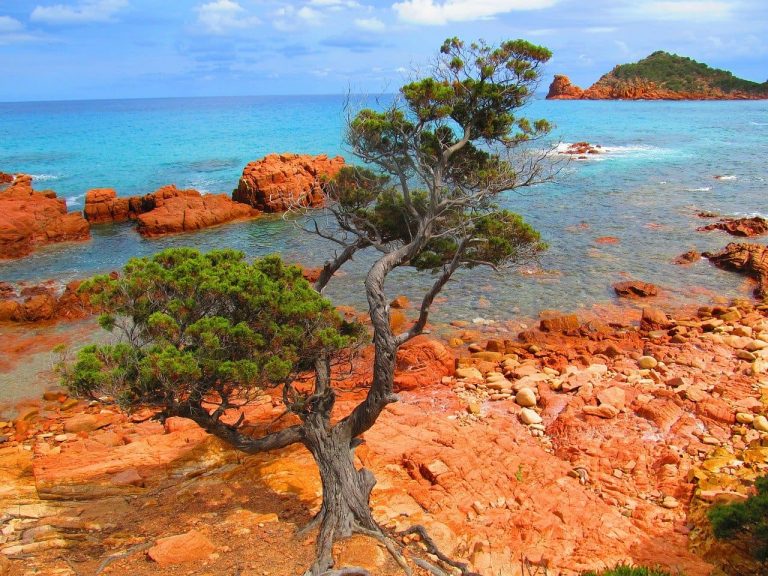 su sirboni en sardaigne