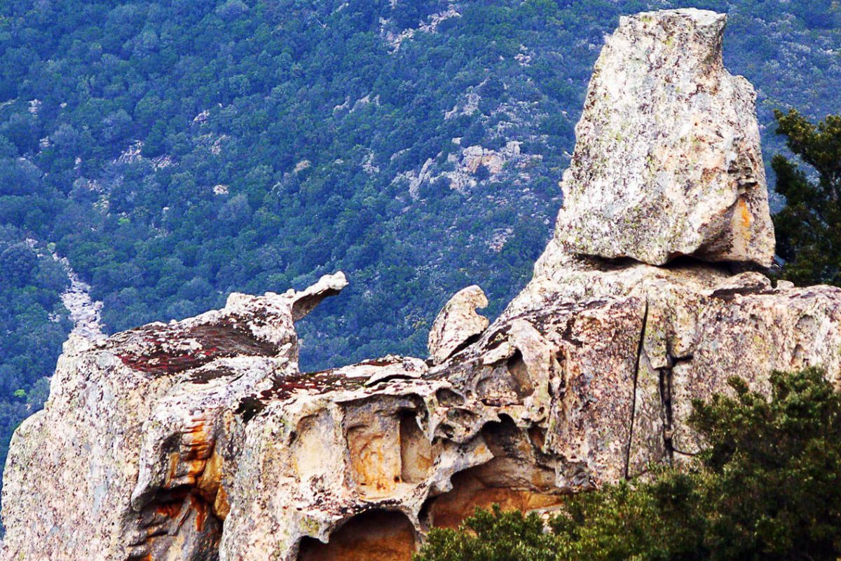 visita il parco naturale di tepilora in Sardegna