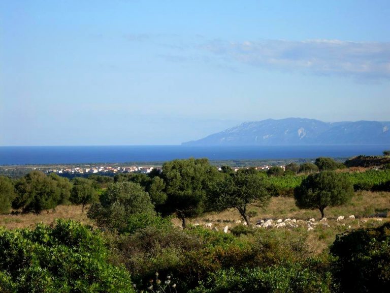orosei agriturismo su birde