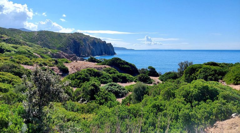 capo pecora portixeddu