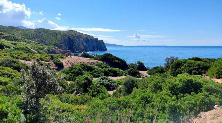 capo pecora portixeddu