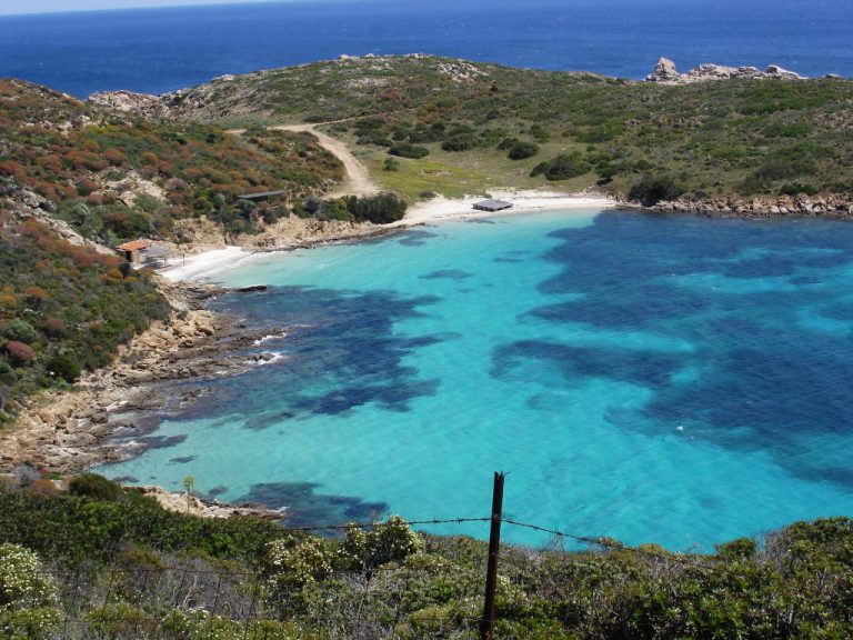 asinara meeresschutzgebiet