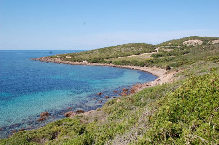 coastline san pietro island