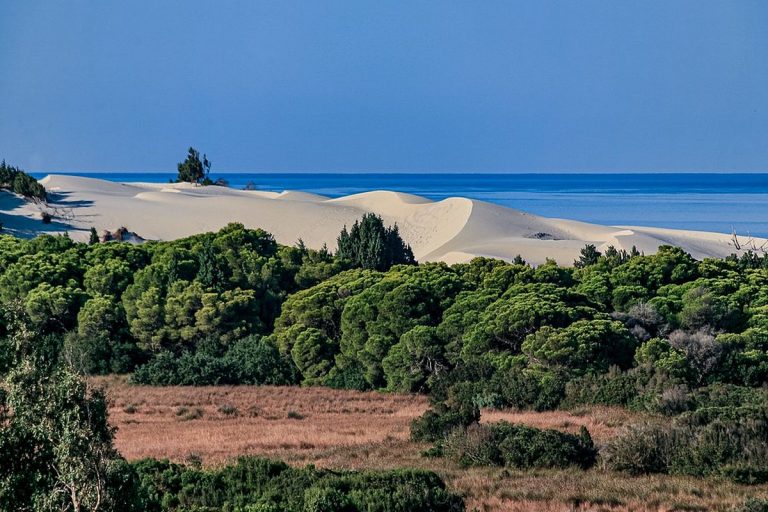 le dune di sabbia in sardegna davanti al mare