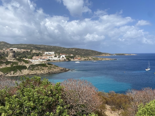isola asinara 