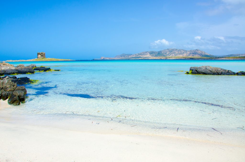 plage la pelosa stintino sardaigne