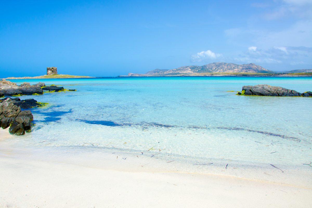 spiaggia stintino la pelosa