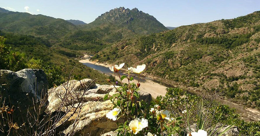 oasi di tepilora