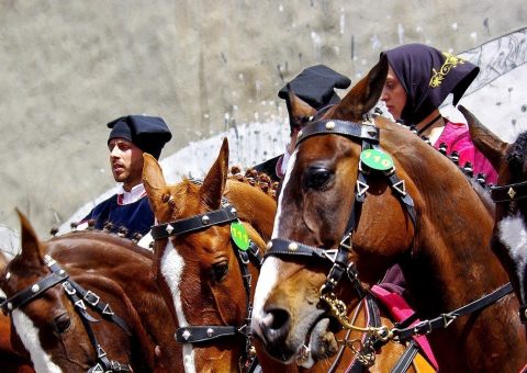 lebendige Traditionen und reiterspiel auf sardinien
