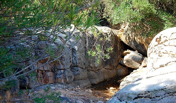 Parchi naturali sardegna Monte Arcosu