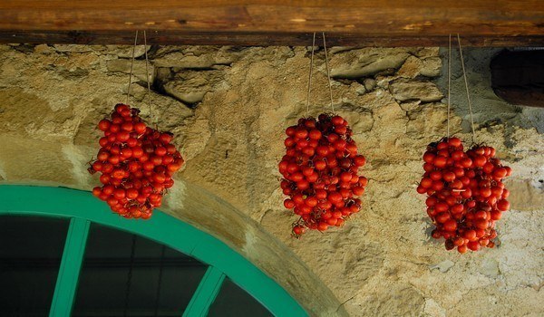 tomates suspendues pour le séchage