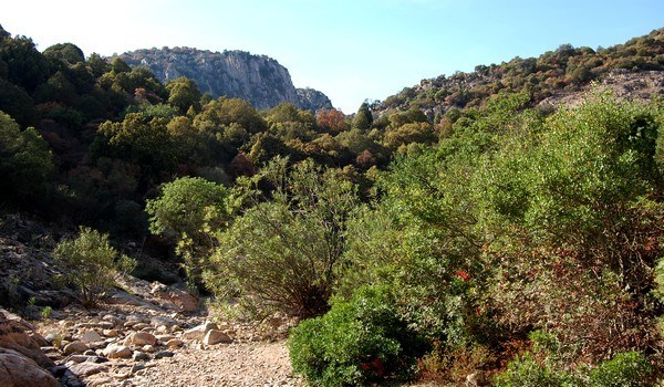 trekking in sardegna parco sette fratelli