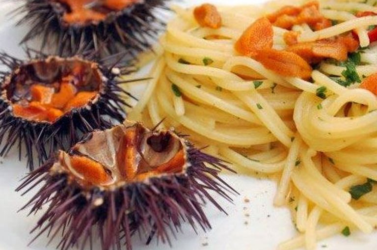seeigel mi spaghetti delikatesse sardinien