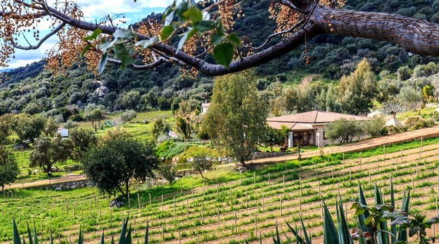 agriturismo su soliano vacanze esperienziali sardegna