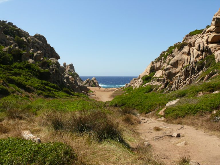 capo testa punta falcone