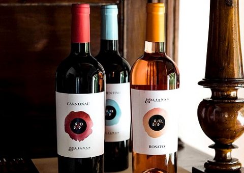 weingut olianas sardinien